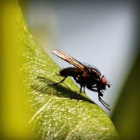 /album/sipuhuacafoxc/photolia-a04-jpg/