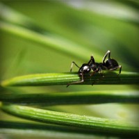 /album/sipuhuacafoxc/photolia-a05-jpg/