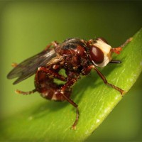 /album/sipuhuacafoxc/photolia-a06-jpg/